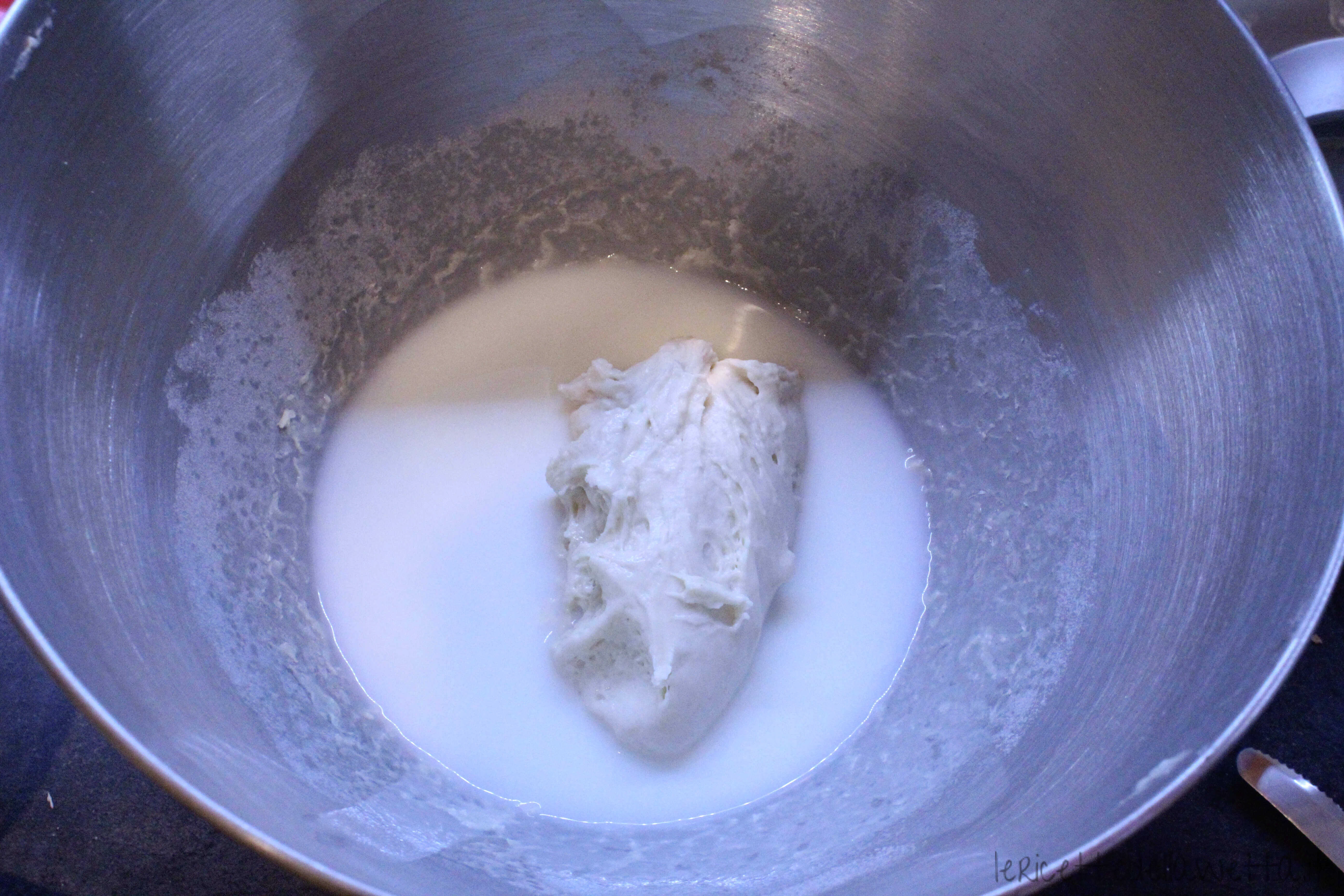 Lievito latte acqua
