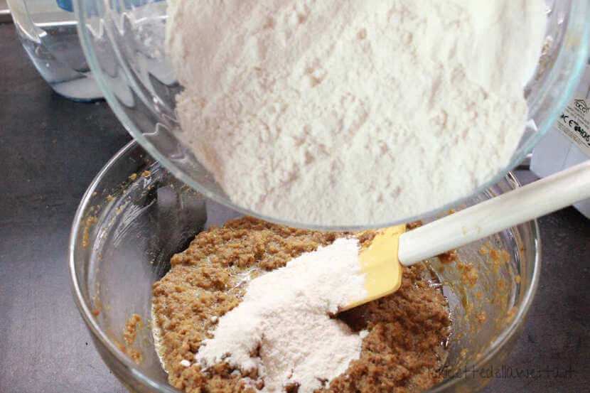Biscotti avena e uvetta