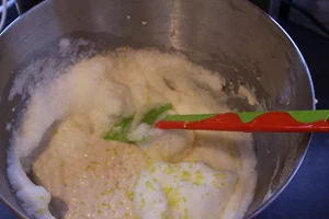 04_limone_grattuggiato