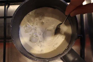 05_GELATINA_PREP2