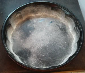 prep torta di mele 4